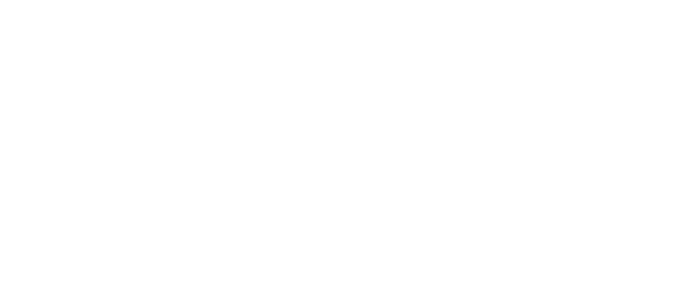 Settle My Loans Logo